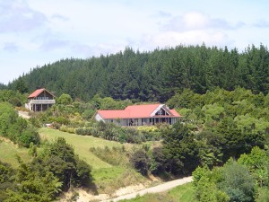 Waihoihoi Lodge and Studio