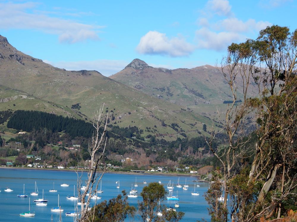 Hopping a Ferry from Lyttleton to Diamond Harbour - Women Travel NZ