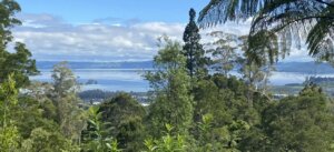 Whakarewarewa cycle trail