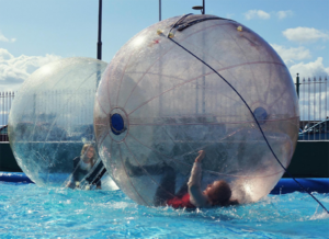 Zorbing NZ