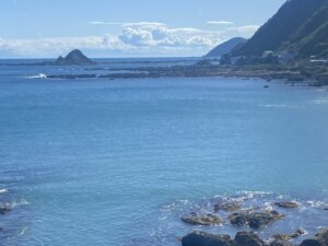 Wellington's rocky shore