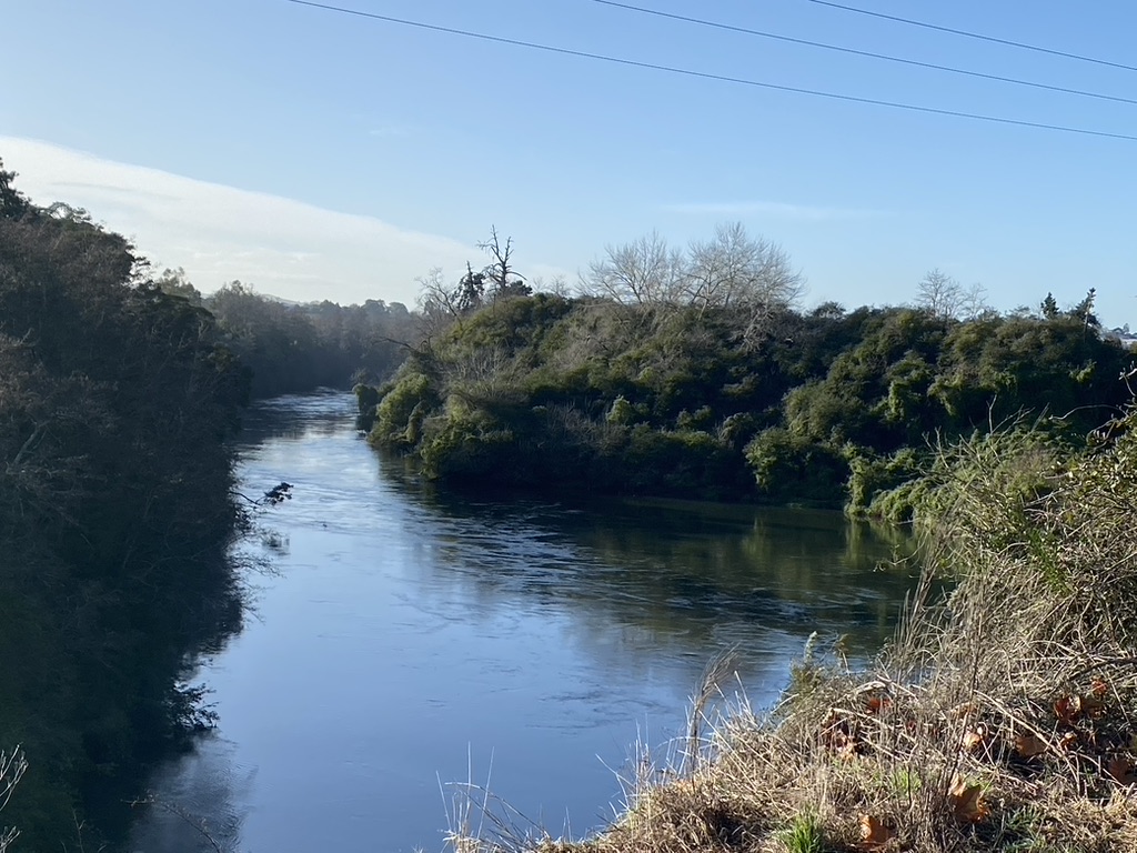 Te Awa River trails