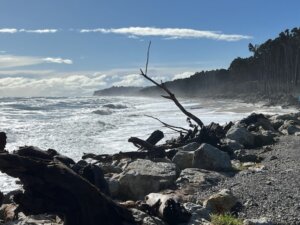 Bruce Bay South Westland