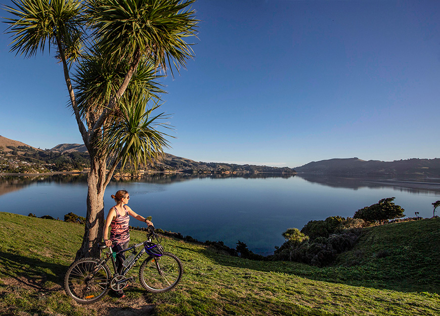 Port to Port Cycle ride around the Otago Harbour